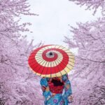 Why Japan’s Hidden Villages Are 2025’s Top Destination