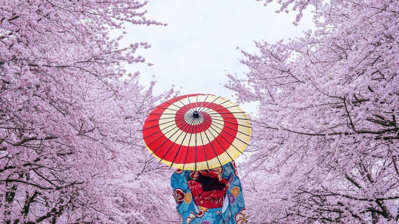 Why Japan’s Hidden Villages Are 2025’s Top Destination