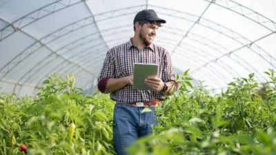 New Agricultural Support Package Announced