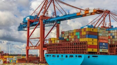Monthly Export Figures Show Growth